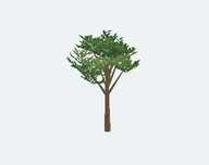 Geometría original: Árbol pequeño